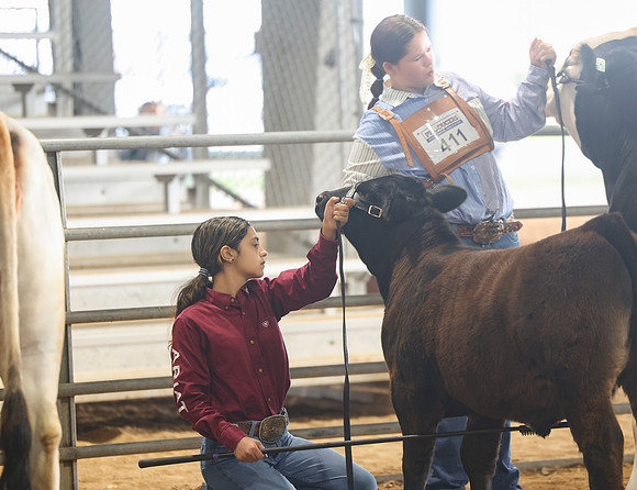 SS 2026- Showmanship-115