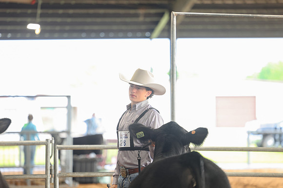 SS 2026- Showmanship-100