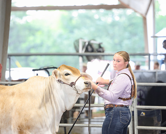 SS 2026- Showmanship-101