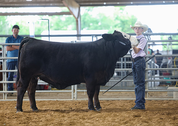 SS 2026- Showmanship-48