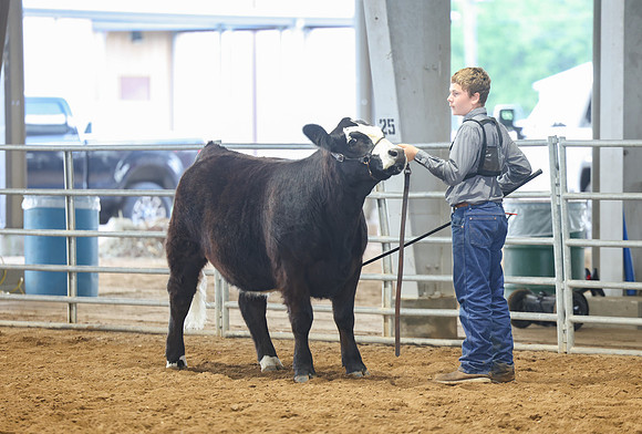 SS 2026- Showmanship-103