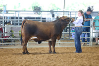 SS 2026- Showmanship-4