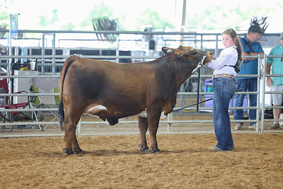 SS 2026- Showmanship-4