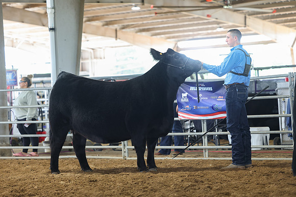 SS 2026- Showmanship-61
