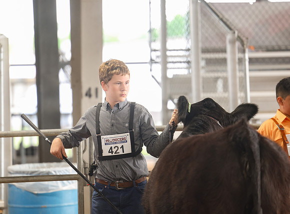 SS 2026- Showmanship-113