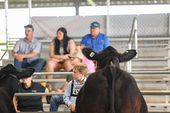 SS 2026- Showmanship-1