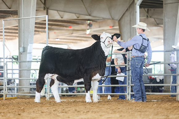 SS 2026- Showmanship-106