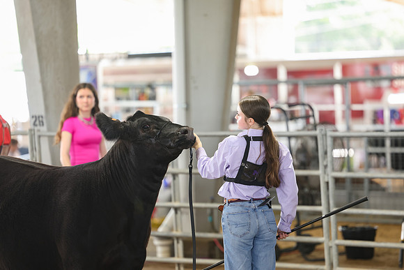 SS 2026- Showmanship-58