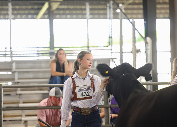 SS 2026- Showmanship-64