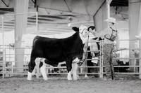 Southern Showcase 2026- Showmanship