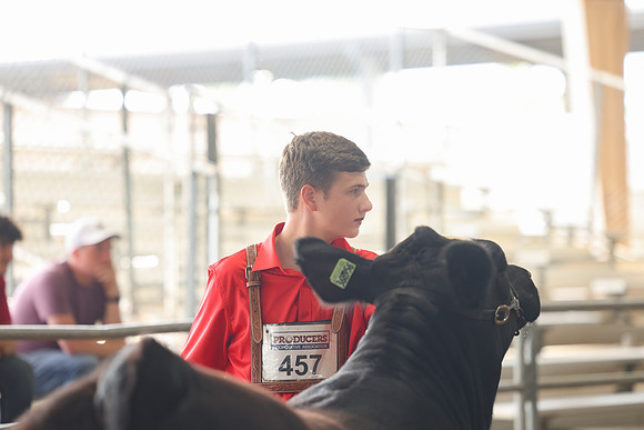 SS 2026- Showmanship-73