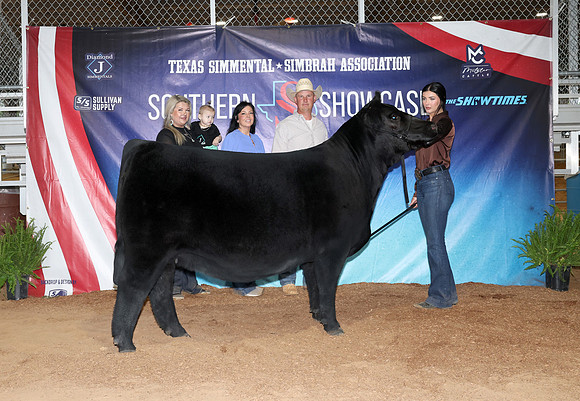 SS- Open Show 30