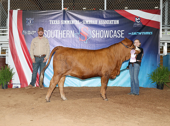 SS- Open Show 22
