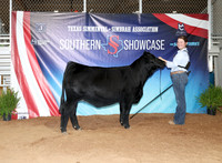 SS- Open Show 20