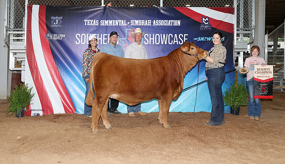 SS- Open Show 25