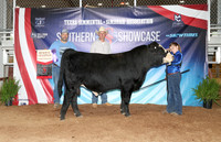 SS- Open Show 7