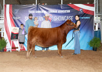 SS- Open Show 16