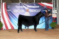 SS- Open Show 15