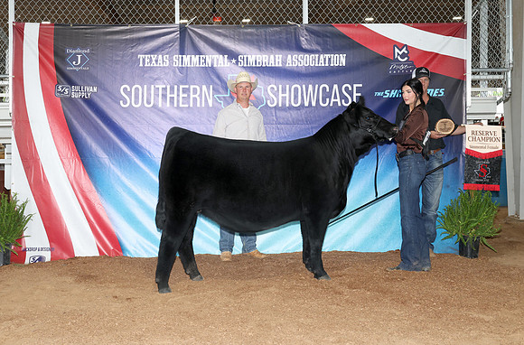 SS- Open Show 15