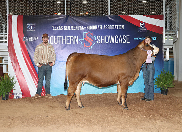 SS- Open Show 28