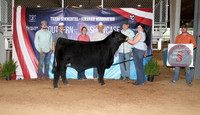 Southern Showcase 2026- Open Show Backdrops