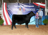 SS- Open Show 13
