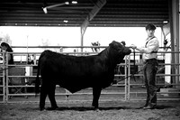 RCM_8539