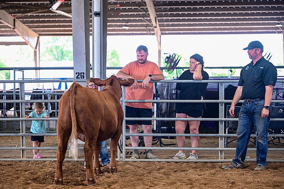 RCM_8917