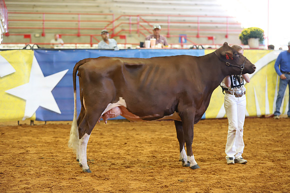 East Texas State Fair - Dairy Show-181