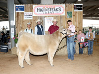 Champ Steer