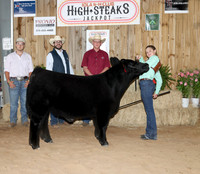 Res Champ Steer