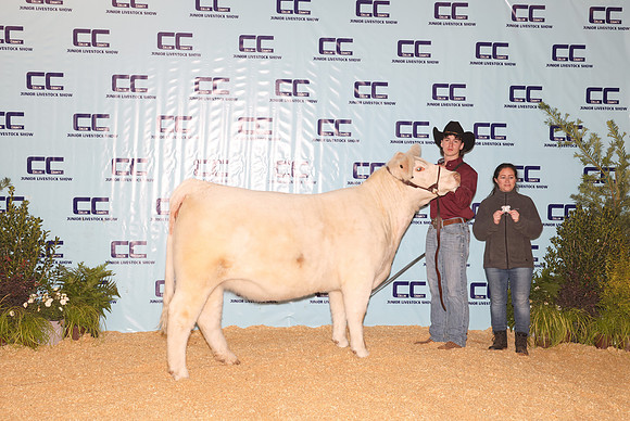 Cattle Backdrop 10