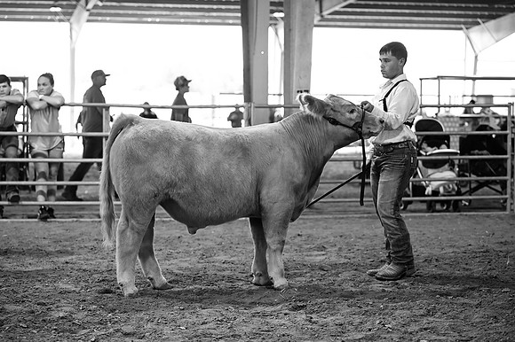 RCM_1449