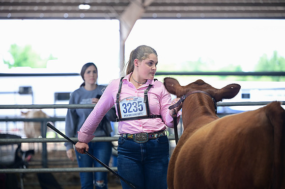 RCM_1634
