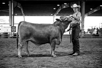 RCM_1786