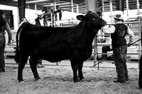 RCM_1806