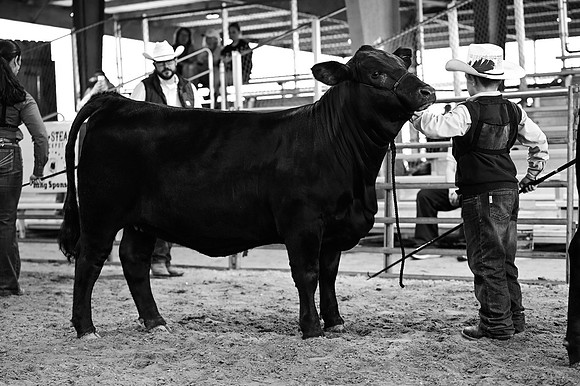 RCM_1806