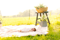 Mother's Day Mini Sessions