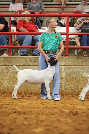 East Texas State Fair - Goat Showmanship-069
