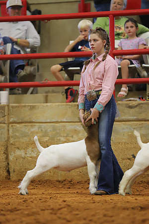 East Texas State Fair - Goat Showmanship-046