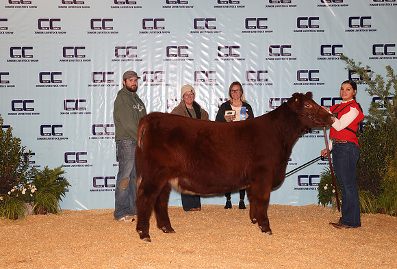 Cattle Backdrop 5
