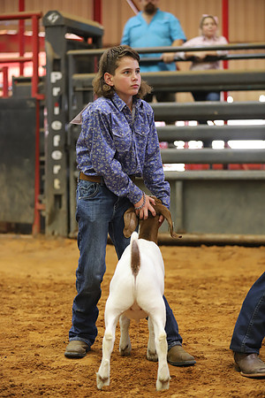 East Texas State Fair - Goat Showmanship-087