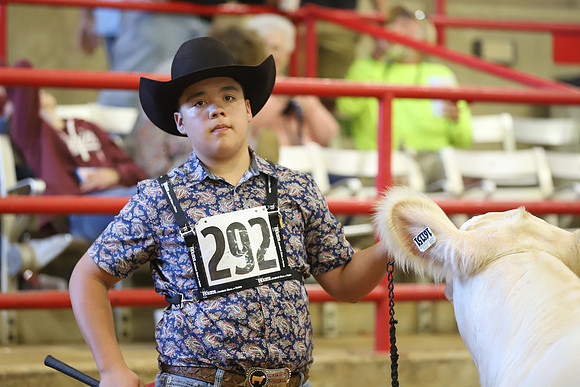 East Texas State Fair - Steer Show-039