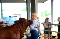 Mid-Coast SG2026- Showmanship