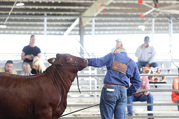 JM-1945