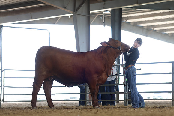 JM-1956
