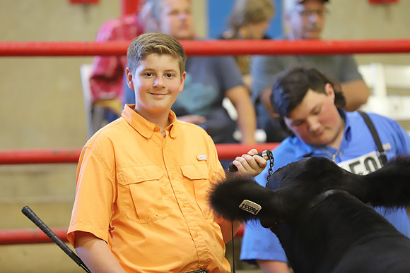 East Texas State Fair - Steer Show-021