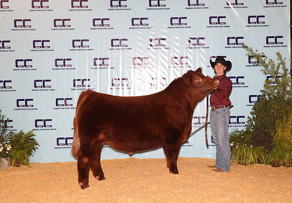 Cattle Backdrop 20
