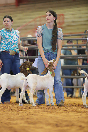 East Texas State Fair - Goat Show-131