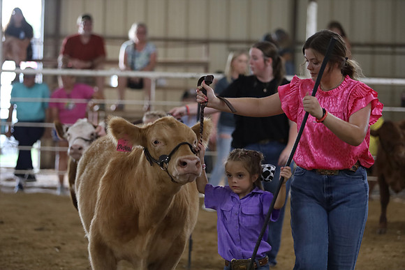 IMG_2587